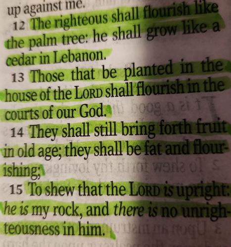 FB_IMG_1771939027286