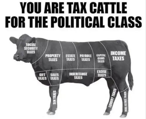 IMG_20260218_032036_546