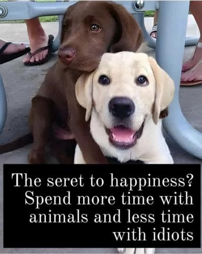 3ef8790f9cbd9c925d9e5515ac273348