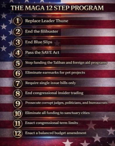 maga 12 steps