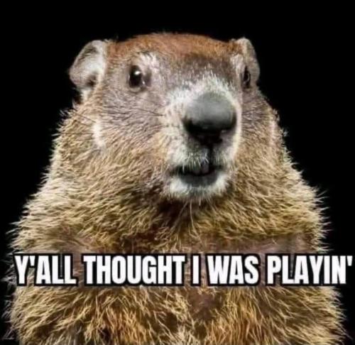 IMG_20260223_141059_226