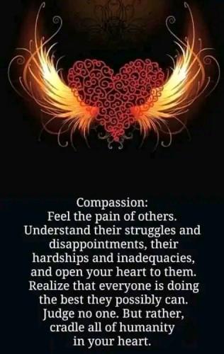 ,      545159_51961123140246