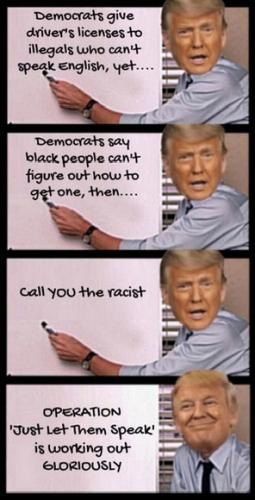 image_9181FE59-8061-418D-82F0-3F62E24A9AB1