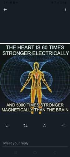 ,     ,       273410949_71196934381