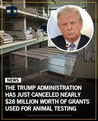 FB_IMG_1770606036568