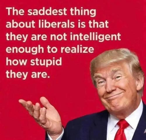 FB_IMG_1771008978661