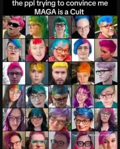 FB_IMG_1771427799260