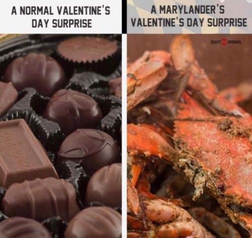 Screenshot_20260212_071253_Gallery