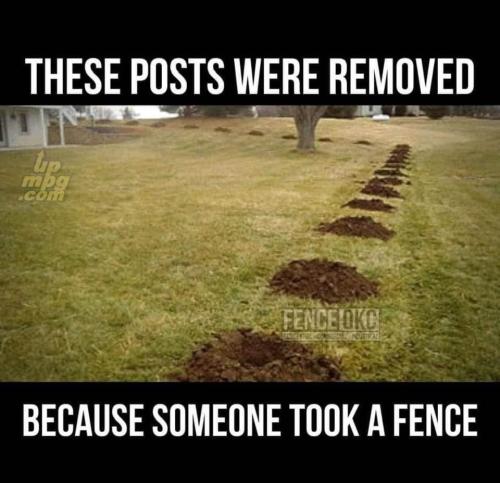 main-qimg-9950d267d4f2ada7c41cf0f02f56ba00