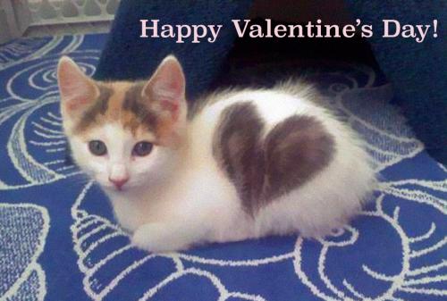 468000078_10161164845029425_2714187896706960616_n