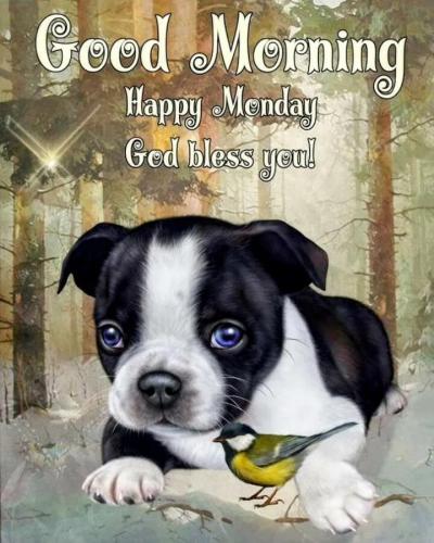 30b2369ebc115149077ba52cd3f8c6ac