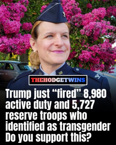 trans fired