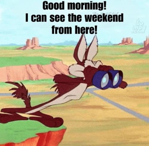 main-qimg-7ddbe467ccfbe9a5c016a5bd8e4efeb3