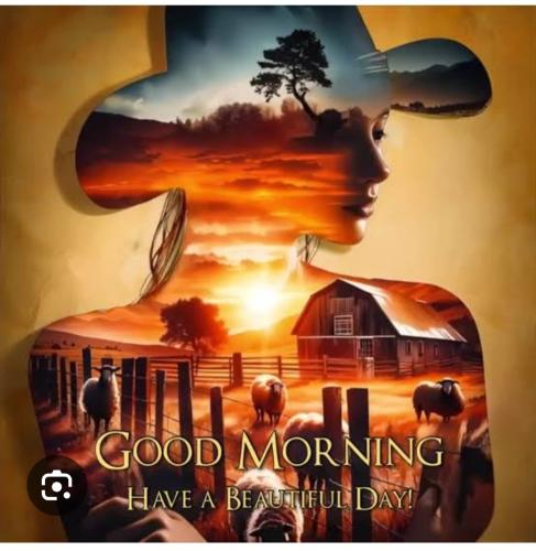 Screenshot_20260227_083110_Google