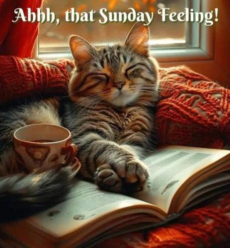 2e824a193f677606fafcd3c4ae5bace3