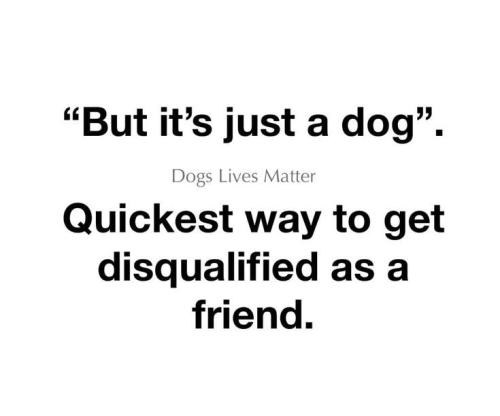 22ff19599b2624278745f7abec999941