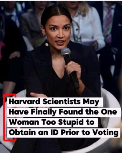 image_1B8E51A4-E7D8-4E28-9B71-4C02749C2AAB