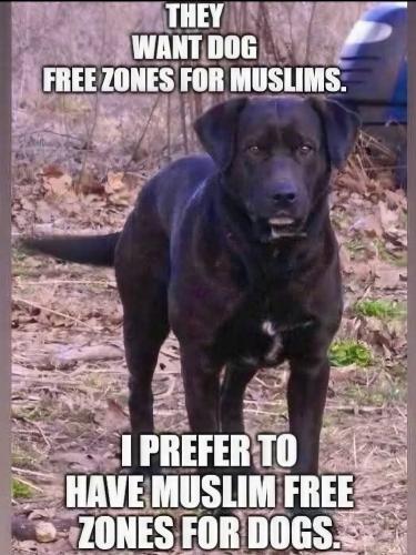 Low-6a0142ee618f65445764d2de98a67eb0-recover v1-1x