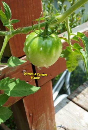 Screenshot_20260217_081649_Gallery