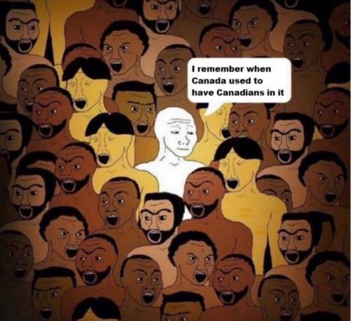 IMG_20260204_074419_811