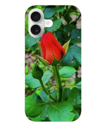 Screenshot_20260214_111952_Brave