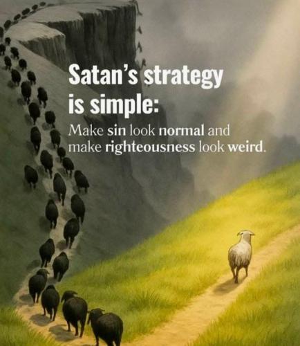 9c2a6c01-a220-4934-a78d-49ac3c042ce0