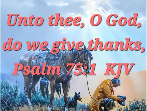 48f98592-7afa-4909-9824-06c0360524fe