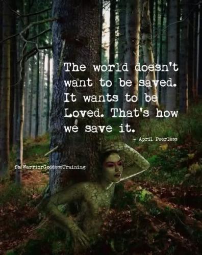 ,     ,       273410949_71196934381