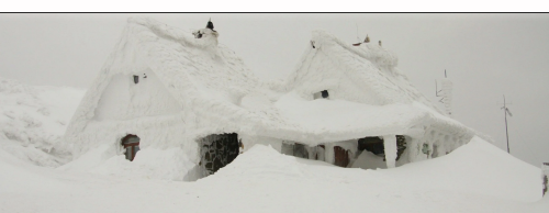 Screenshot 2026-02-08 at 15-10-28 The Blizzard of 1977 — The Fivecoat Consulting Group