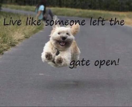 IMG_20260225_071522_247