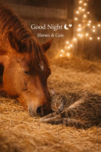 27faa37540264f2e33cb7617cd84f095