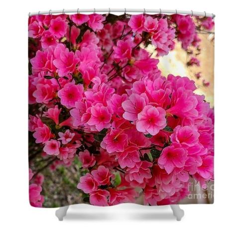 Screenshot_20260218_182259_Brave