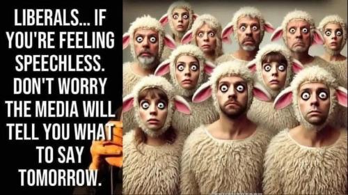 17706352771911261566485612539057_330177972548628