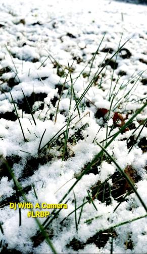 Screenshot_20260212_075609_Gallery