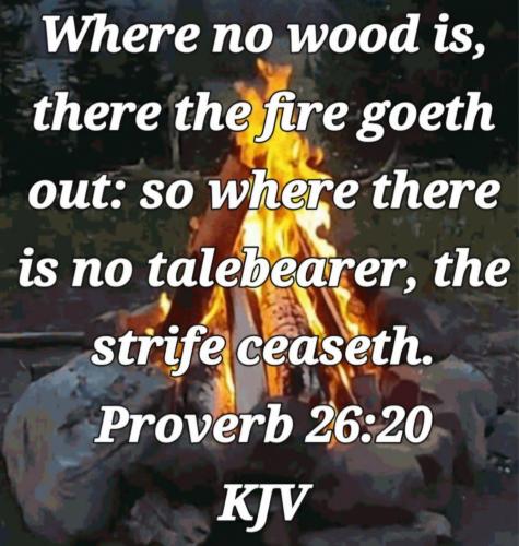 f40421c4-87f2-41c9-907a-64cb7f90003e