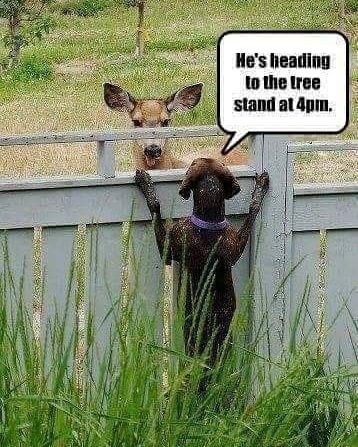 59a2256237e27c4a0c2b01595eef3bbd