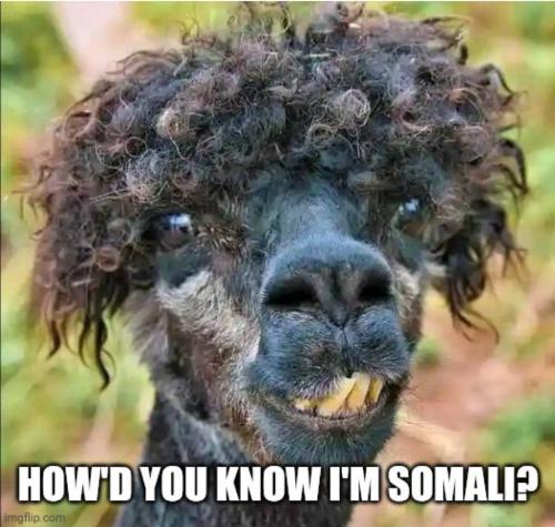 IMG_20260203_042647_026