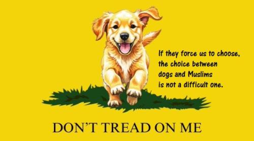 dont tread on me