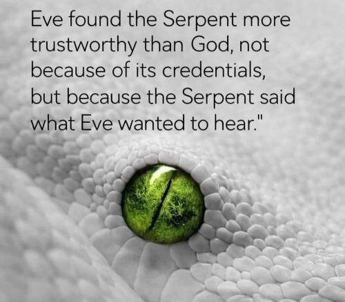 e20ec74e-16a1-43aa-80d9-c628ae85b378