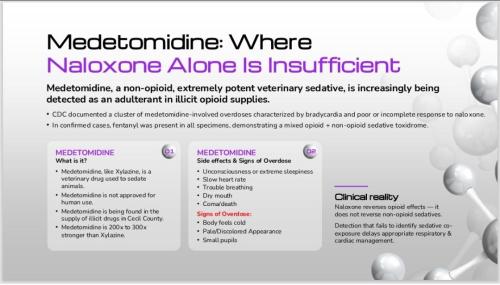 01b51cf9-7545-4c21-8b7e-fd352b623db4