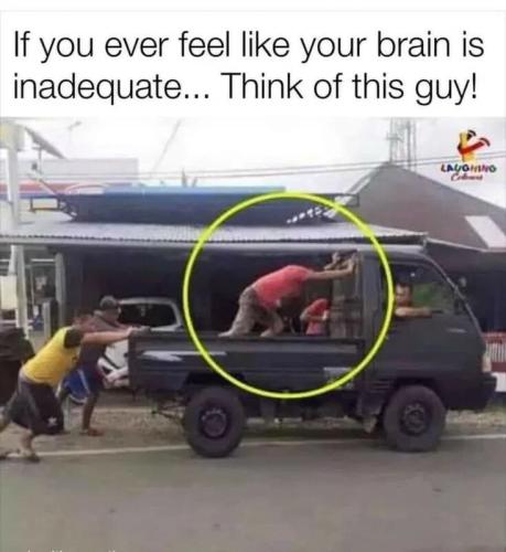 brain-inadequate