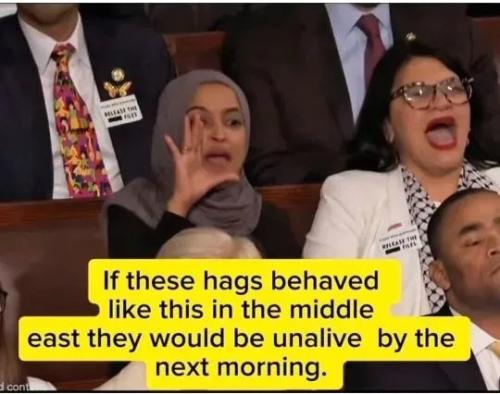 17721045955521748997151523867318_1236043482451607