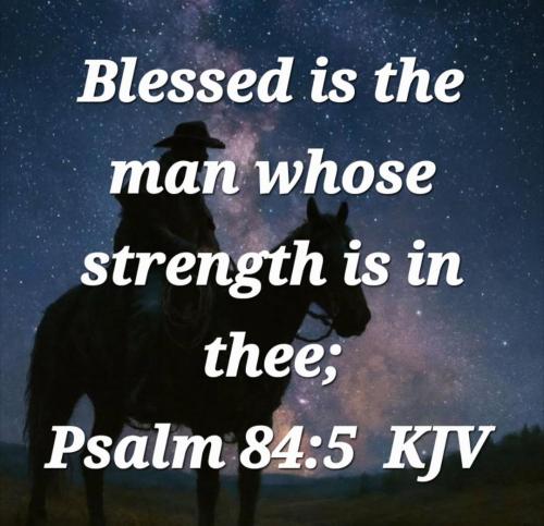 44f5e11e-48c9-491c-bf2c-8ebe383d78aa