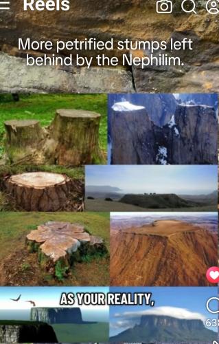 GridArt_20260212_124206648