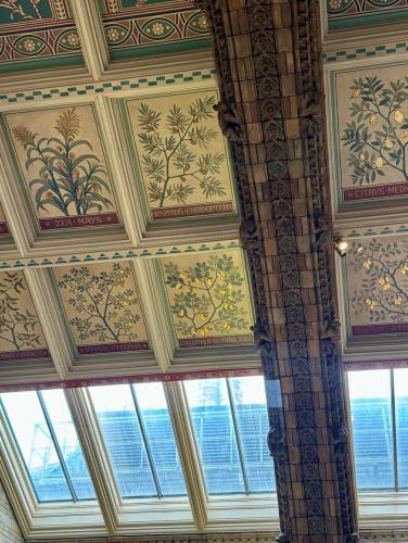 RDT_20260215_16073625596753691504838