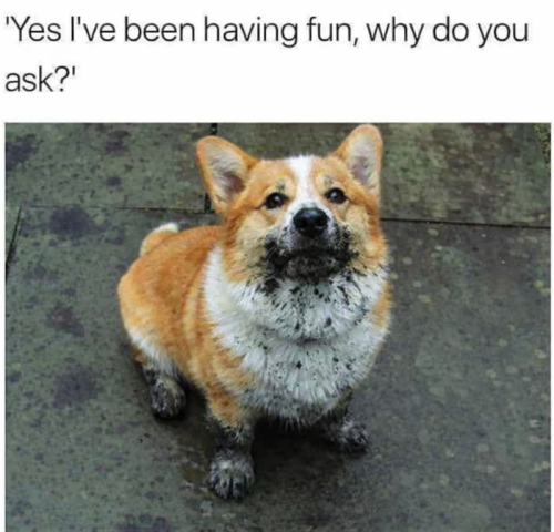 yes-been-having-fun-why-do-ask