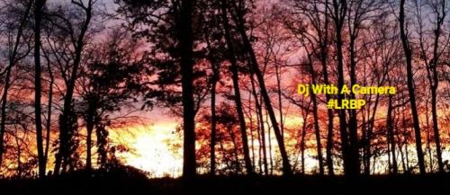 Screenshot_20260219_185106_Gallery