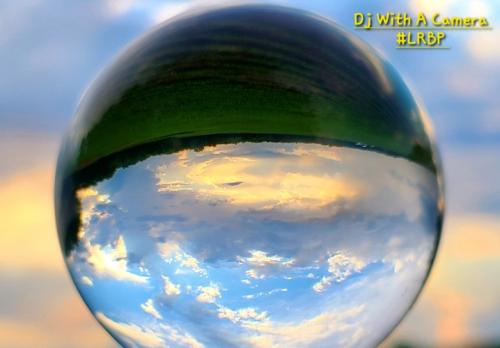 Screenshot_20260212_075221_Gallery