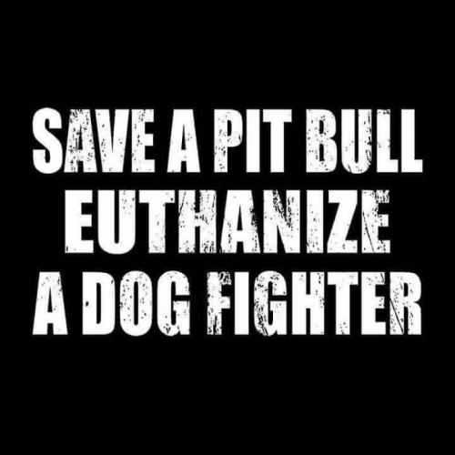 c7d5d8ba7d3b1c2d54d619f15d923d62