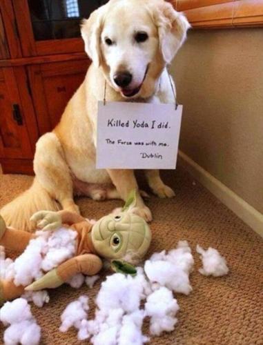 Screenshot_20260201_063713_Gallery